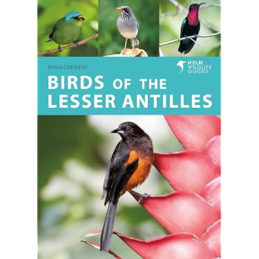 Amazon Best Sellers: Best Saint Kitts Travel Guides